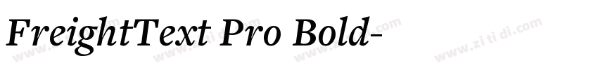 FreightText Pro Bold字体转换